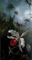 Martin Johnson Heade Two Hummingbirds oil painting image